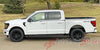 2021 2022 2023 2024 Ford F-150 FP700 Side Door Stripes Vinyl Body Decals 3M Graphics - ENFORCER BLACK/GRAY